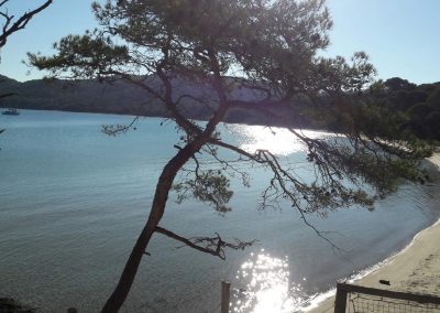 Appartement accès direct mer