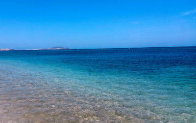 Studio proche de la plage
